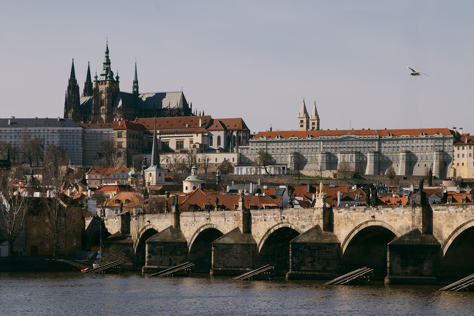 Prague Castle View